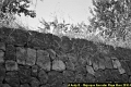 Majorque Pollenca 026